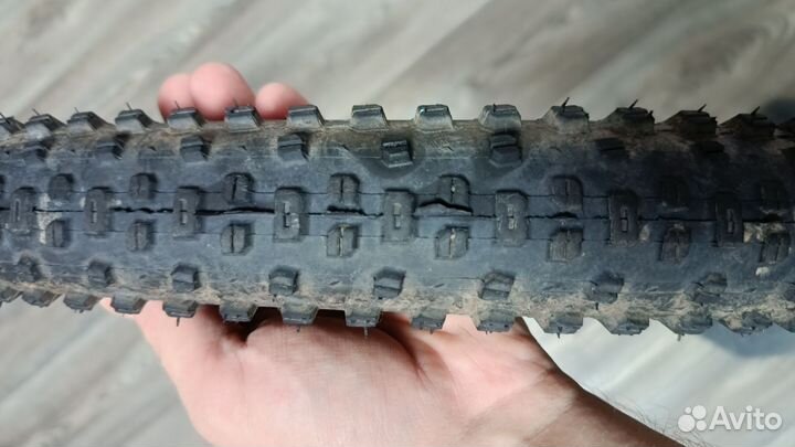 Wtb ranger 29x2.25