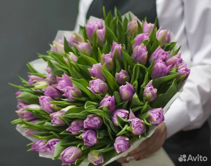 Тюльпаны, 51 тюльпан, букет тюльпанов, доставка