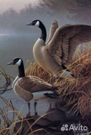 Пишу картины на заказ, услуги художника