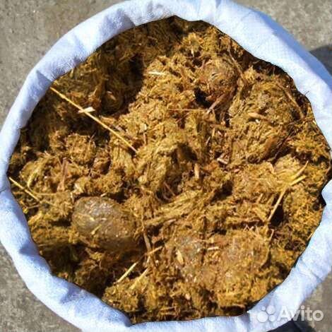 Конский навоз с подстилкой бесплатно