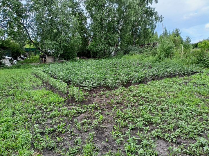 Участок 9 сот. (СНТ, ДНП)
