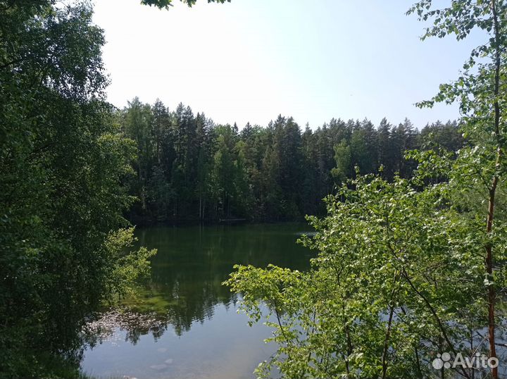 Экологическая отчётность