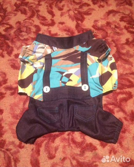 Одежда для собак