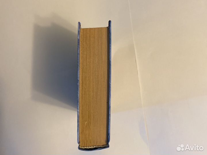 Империя превыше всего. Книга 1. Череп на рукаве