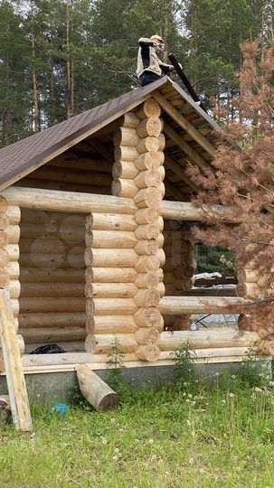 Участок 16,5 сот. (СНТ, ДНП)