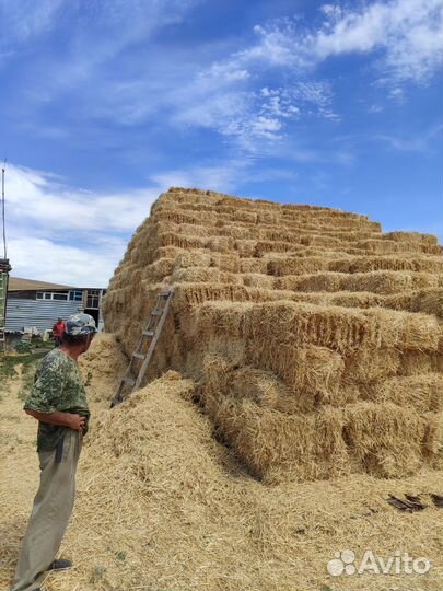 Саломав тюках