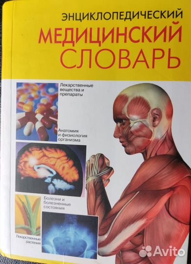 Энциклопедия. Справочник. Альбом