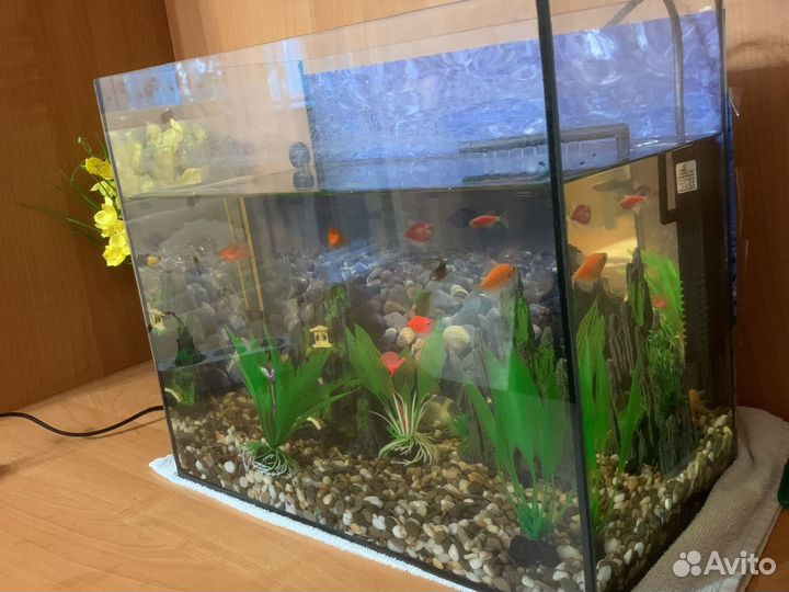 Аквариум