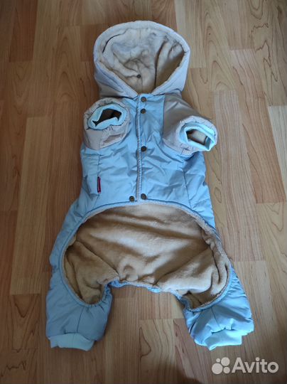 Одежда для собак