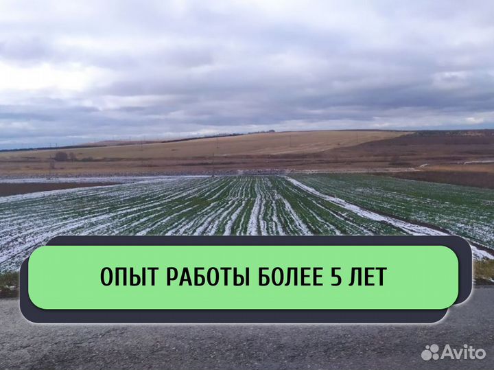 Привлекаем инвестиции