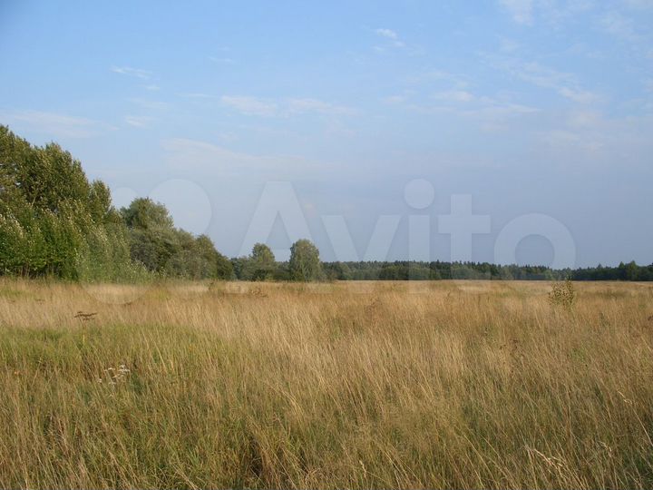 Участок 2,58 га (СНТ, ДНП)