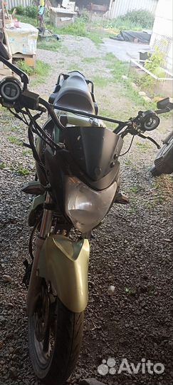 Продам Racer Nitro 250