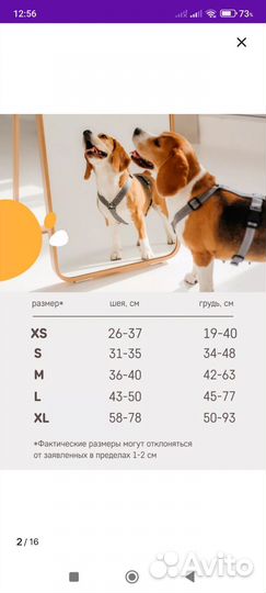 Шлейка, ошейник,поводок,намордник,одежда для собак