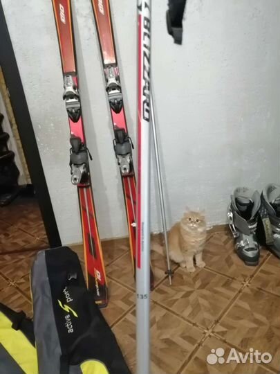 Горные лыжи комплект