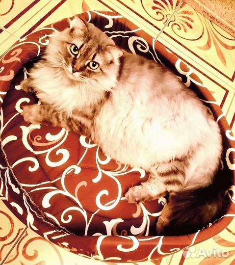 Лежанка для животных