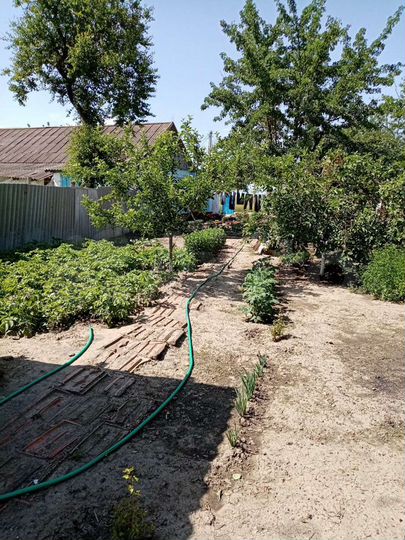 Дом 38,6 м² на участке 6 сот.