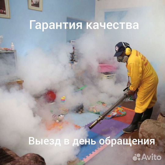 Избавление от тараканов,клопов и других насекомых