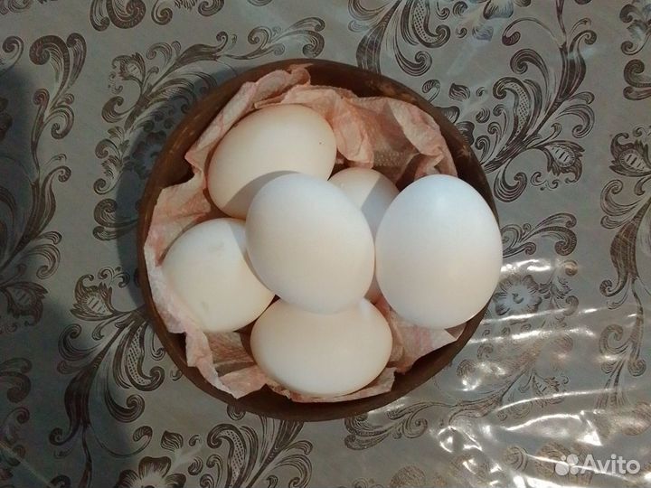 Домашние куриные яйца