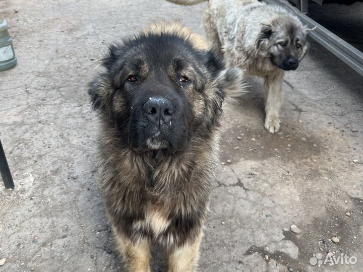 Кабель для вязки