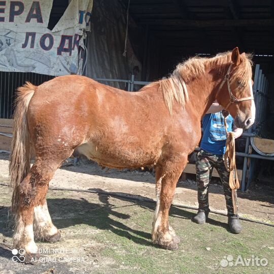 Советский тяжеловоз