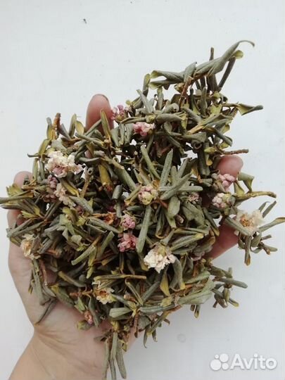 Саган-дайля