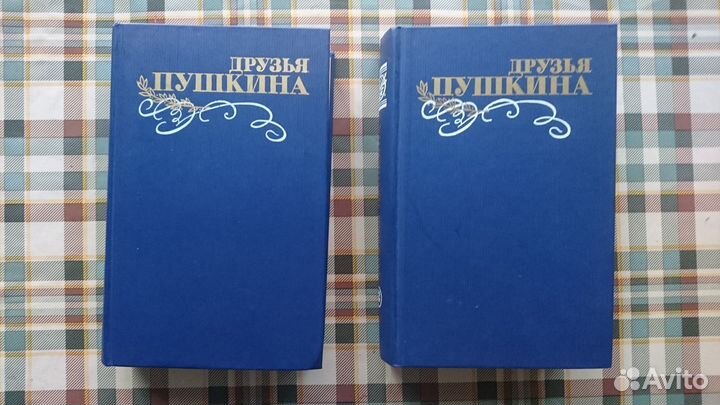 Поэзия Друзья Пушкина Брюсов Есенин Гете Блок и др