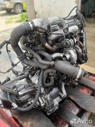 Двигатель рено 1.9 тди F9Q 782