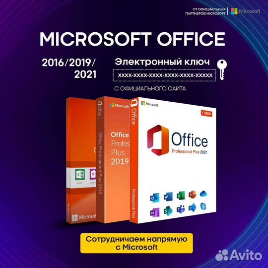 Microsoft Office 2016/2019/2021