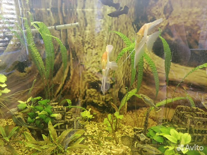 Аквариум 600литров