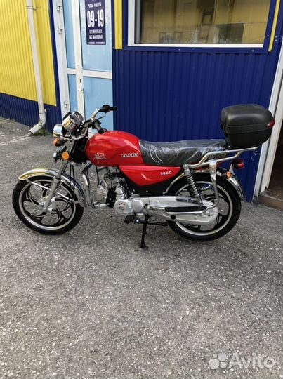 Новая alpha 110cc 2022