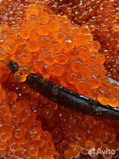 Красная икра опт