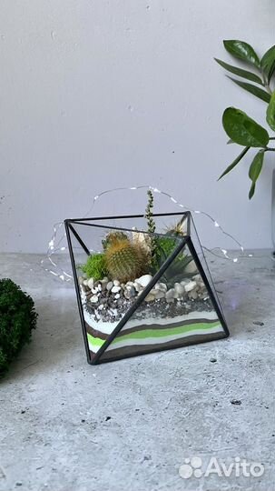 Флорариум с кактусами
