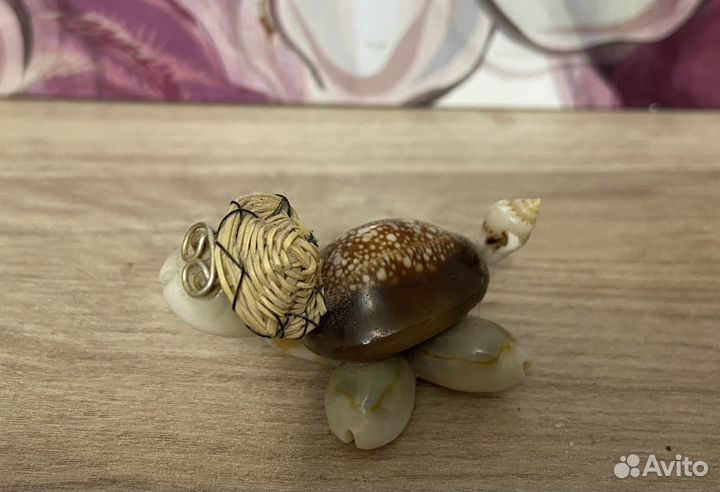 Морские ракушки