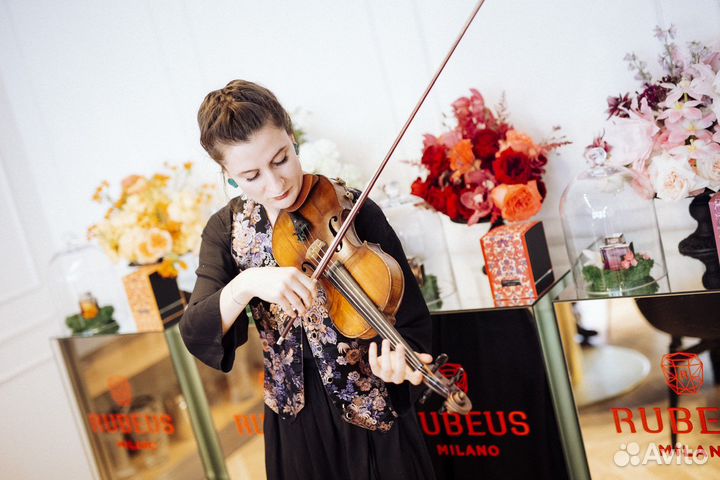 Скрипка на праздник