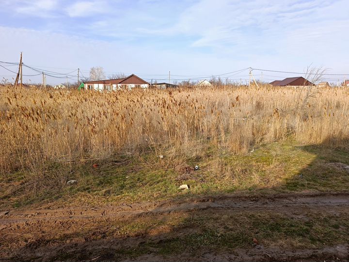 Участок 5,5 сот. (СНТ, ДНП)