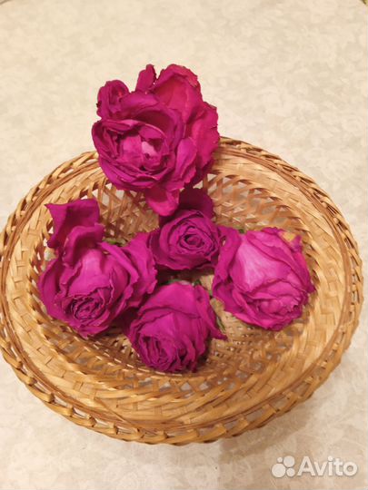 Сухие цветы розы