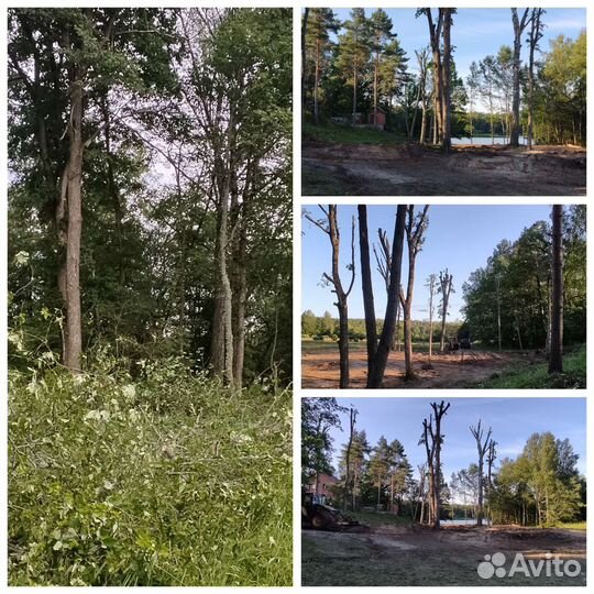 Спил деревьев частями