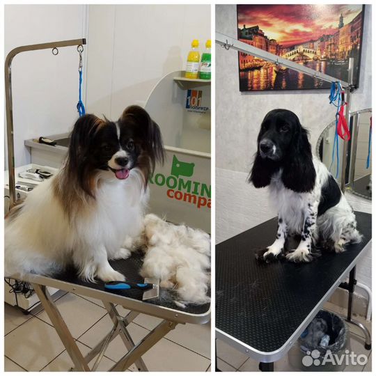 Груминг-Стрижка-Экспресс линька собак