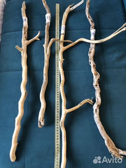 Морские палочки, коряжки, дрифтвуд