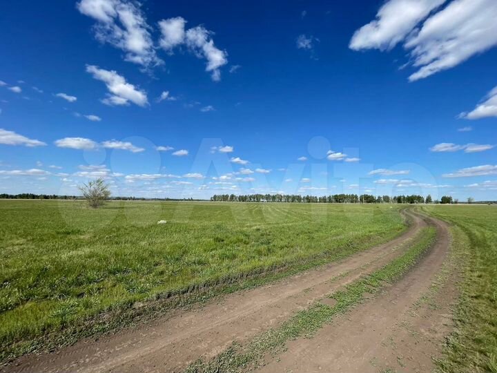 Участок 5,65 га (ИЖС)