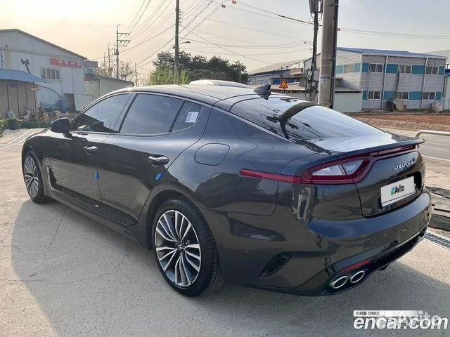 Kia Stinger 2.0 AT, 2019, 51 000 км