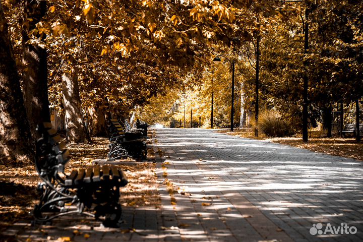 Зеркальный фотоаппарат canon eos 200d