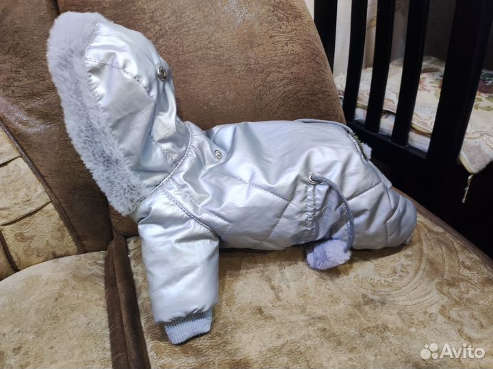 Комбинезон для маленькой собаки девочки