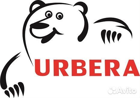 Бухгалтер ревизор