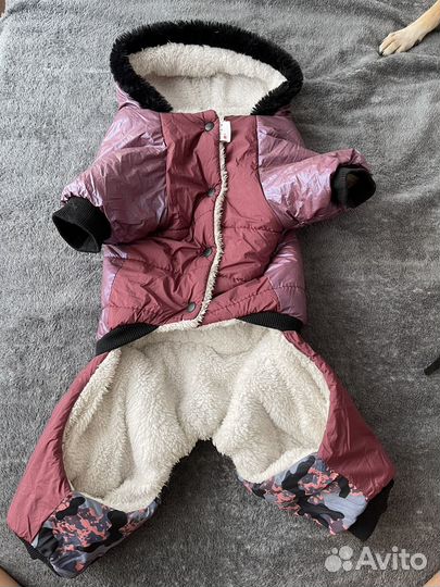 Одежда для собак комбинезон