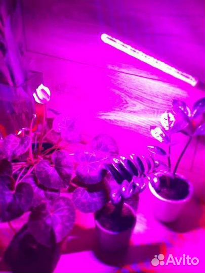 Лампа для растений фито лампа