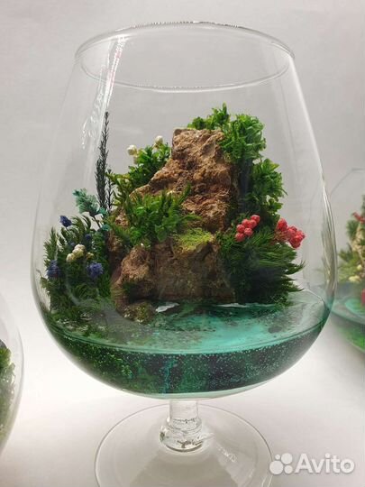 Флорариум суккуленты мох подарок