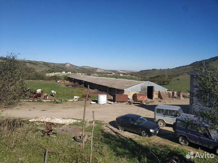 Продается кфх (ферма ) готовый бизнес