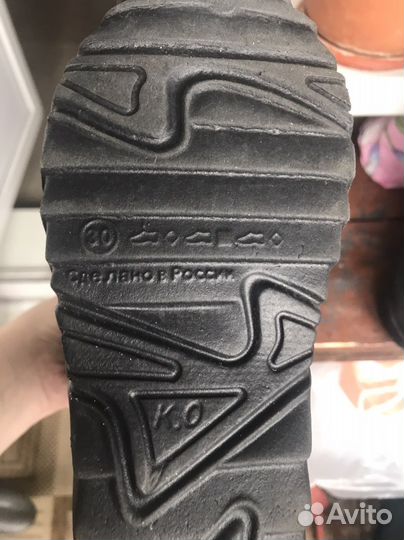 Саоги осенние