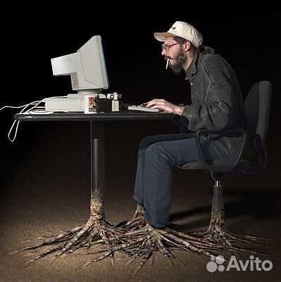 Сайты и домены в Интернете, разработка, размещение